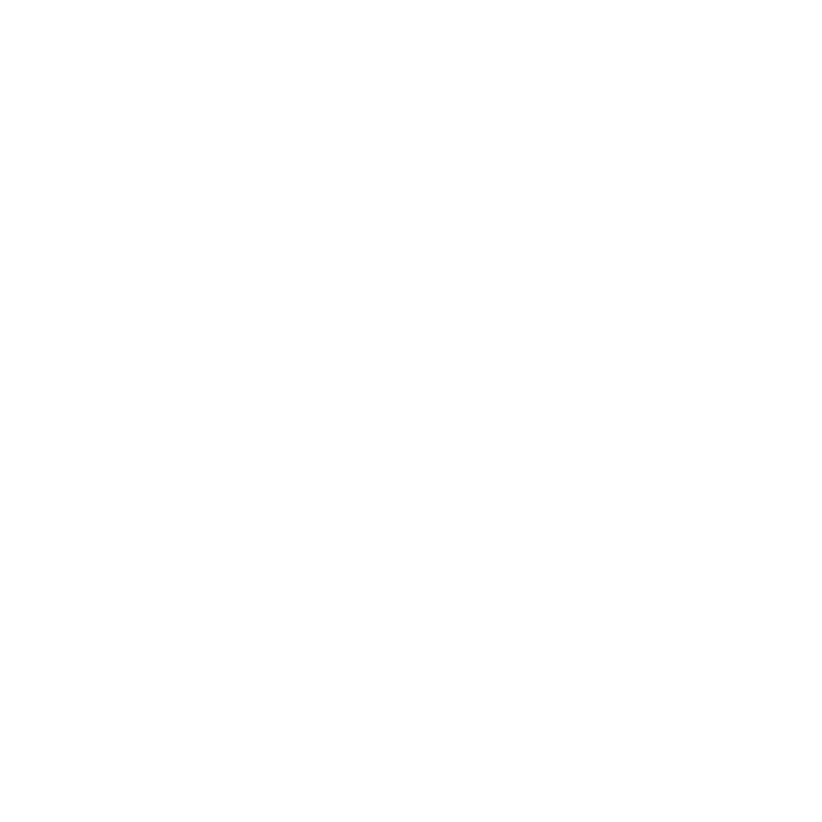 Language